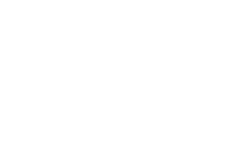 logo light